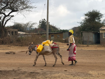 Water carried home by donkey — the routine a water point replaces.